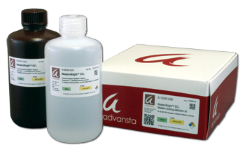 Chemiluminescent Western blotting