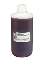 Protein staining