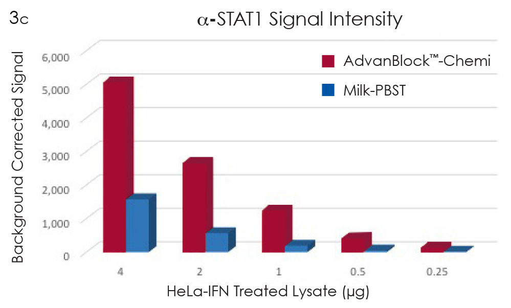 AdvanBlock-chemi figure 3c shows enhanced signals in Western blotting
