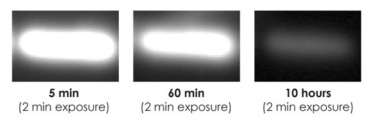 Quantums signal lasts for hours