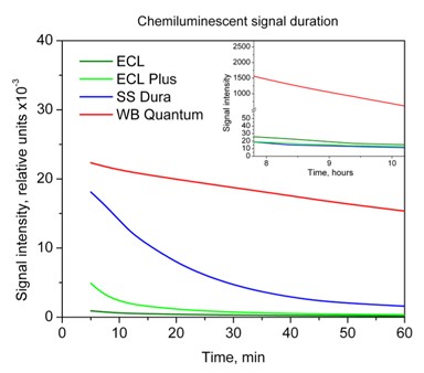 Chemiluminescent signal lasts with Quantum