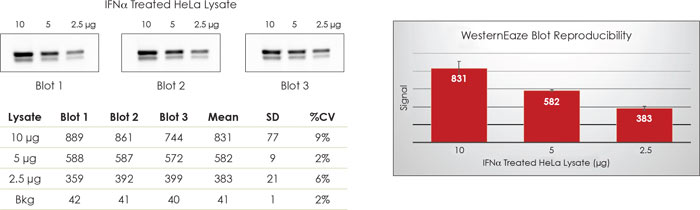 WesternEaze Reproducabilityn