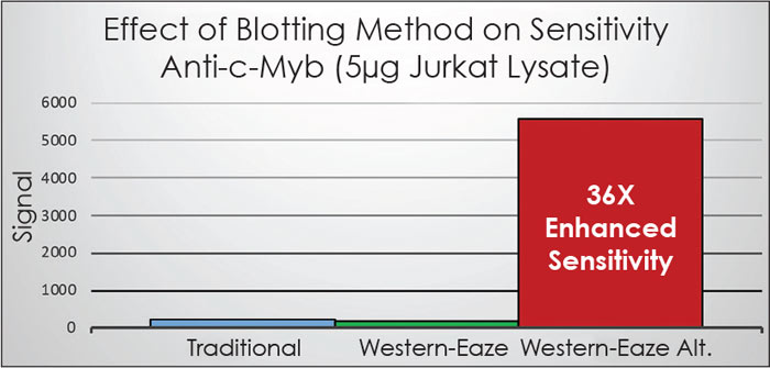 WesternEaze Sensitivity