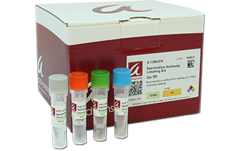 SpectraDye Antibody Labeling Kits